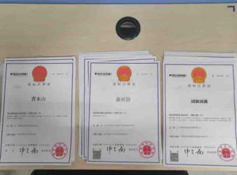 注冊(cè)公司 代理記賬公司注冊(cè)提供個(gè)體戶注冊(cè)、內(nèi)資公司注冊(cè)服務(wù)